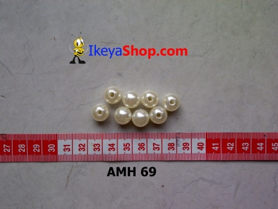 AMH 69  large2